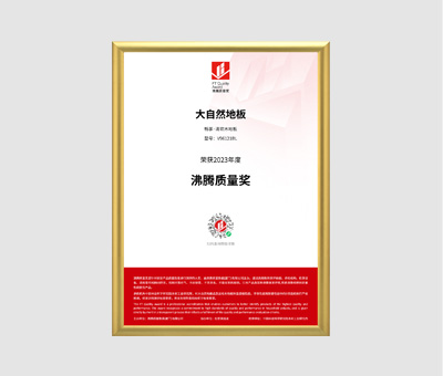 2023年度沸腾质量奖